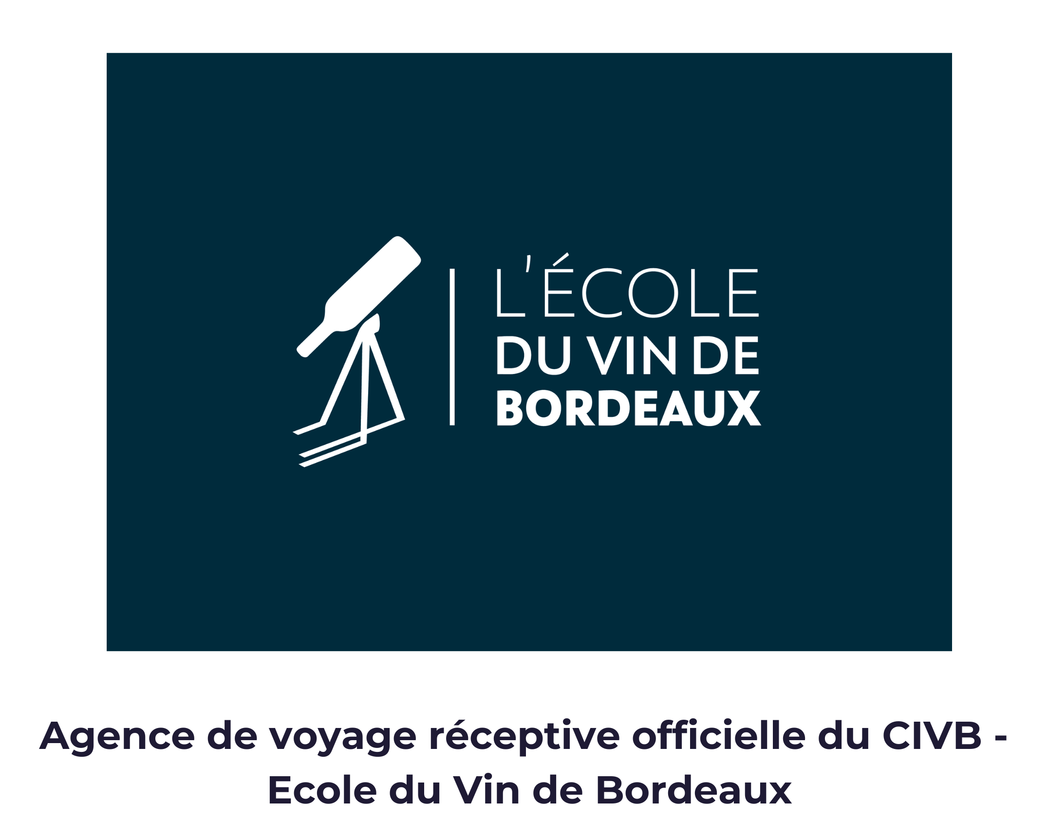 ecole du vin